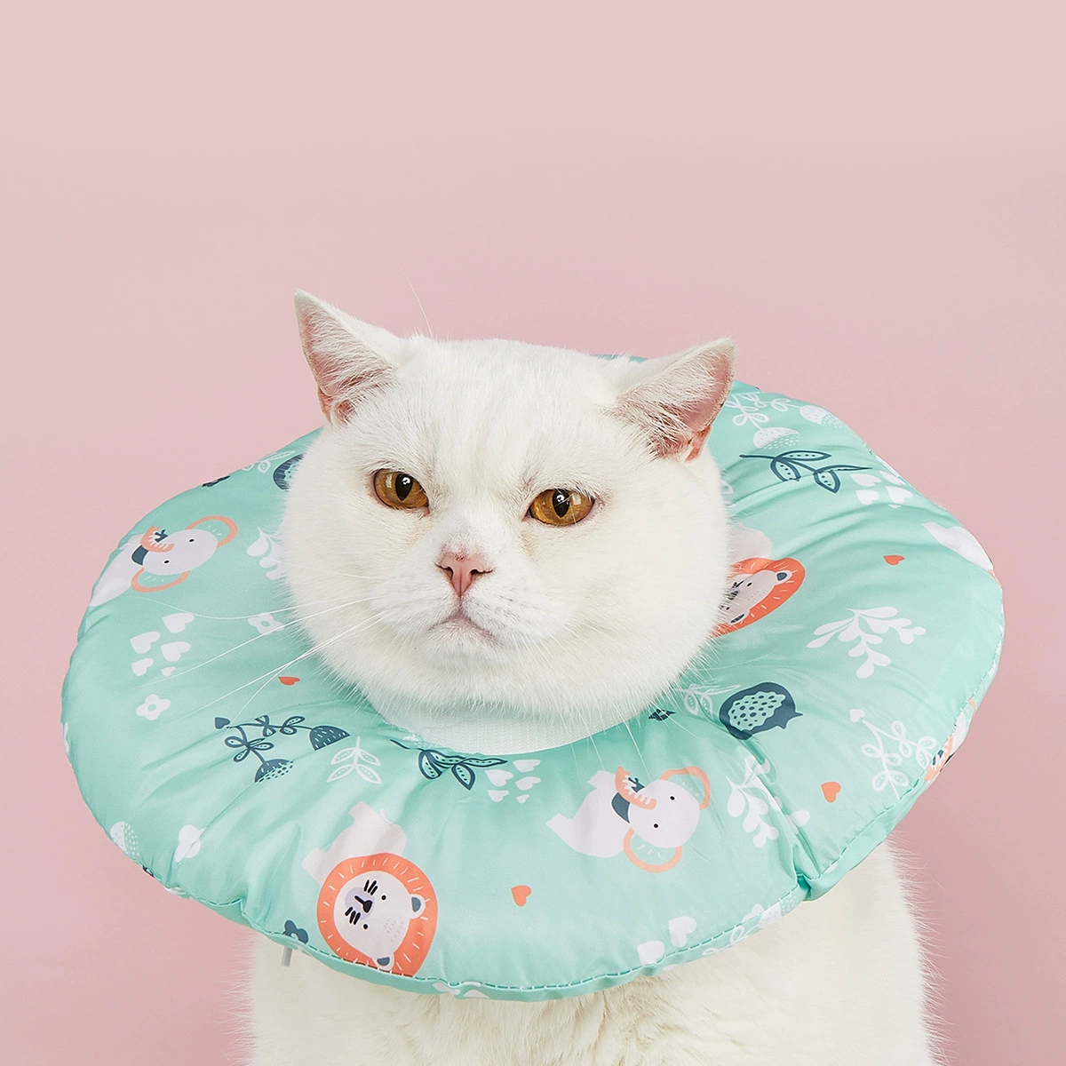 Завод оптовой Элизабет круг водонепроницаемый кошачий анти-облизывание мягкого кольца крышка головы стерилизация ошейник реабилитации домашних животных