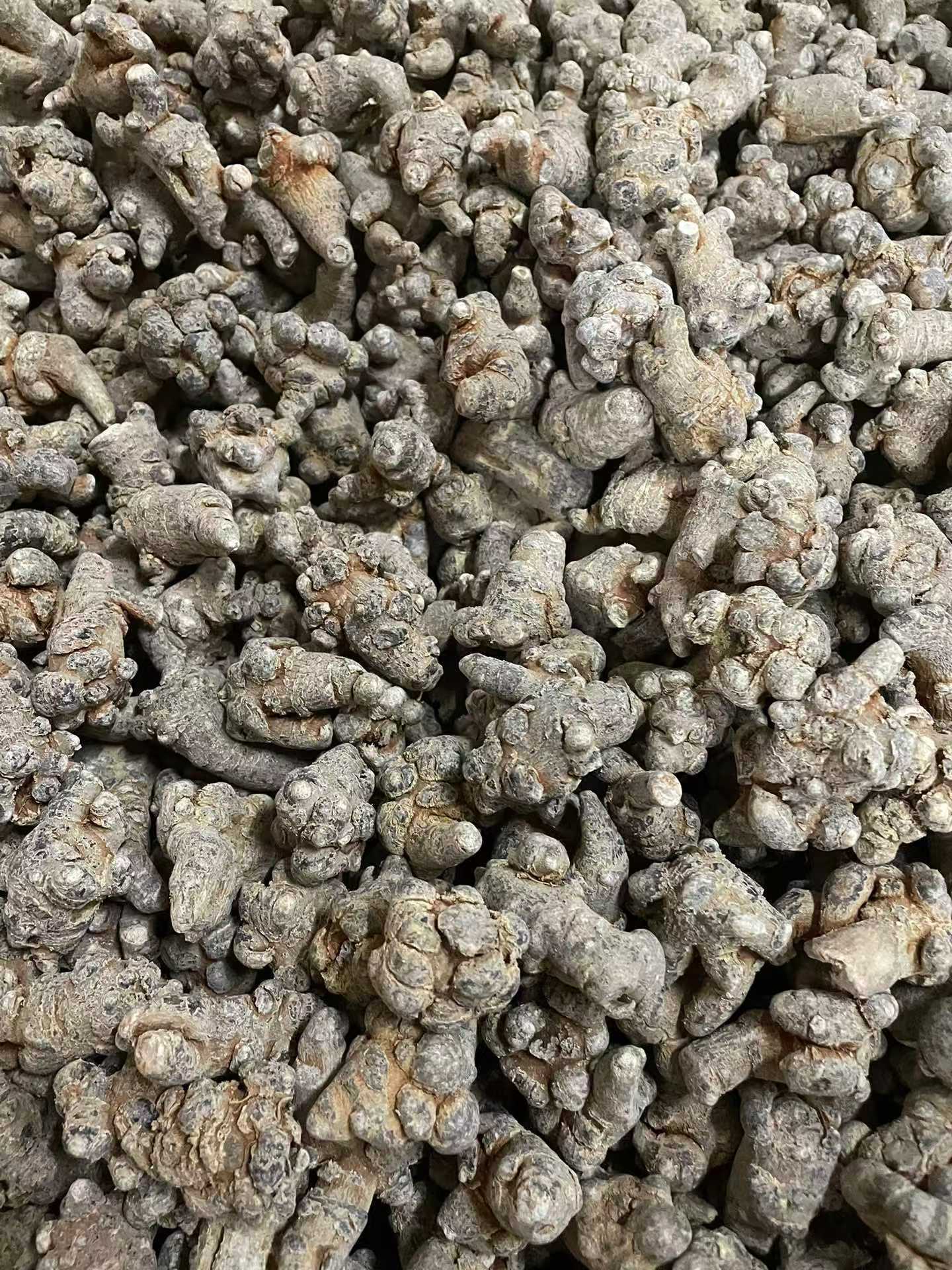 Dried Notoginseng Root Heads from Yunnan Wenshan Sanqi Tianqi Herbal Decoction Pieces 250g specifications