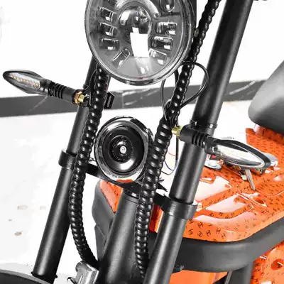 Car Wide Tire, Elektrikli motosikletlər