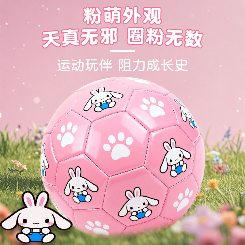 Rabbit Football Children's No. 5 Baby Birthday Gift Free Engraving Bunny Professional Training Ball for Primary School Students 4