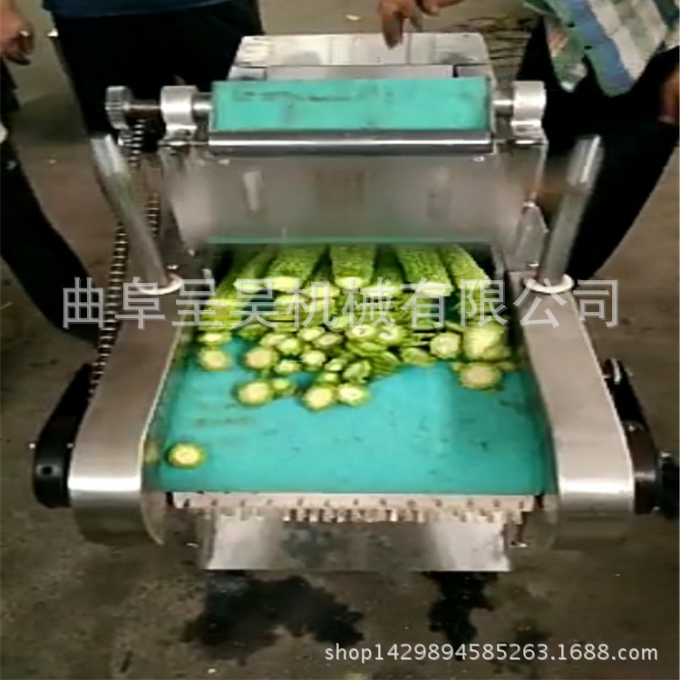 长期大量供应1000型多功能切菜机 切菜机输送带