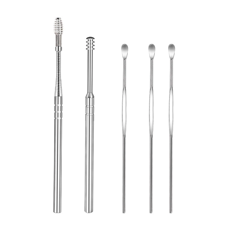 Ear Cleaning Kit, 5–6 Piece Stainless Steel Handheld Set with Carry Case, Portable for Adults