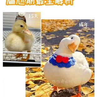 � ���������_��ҹ�Д[��С����С���������B���M��