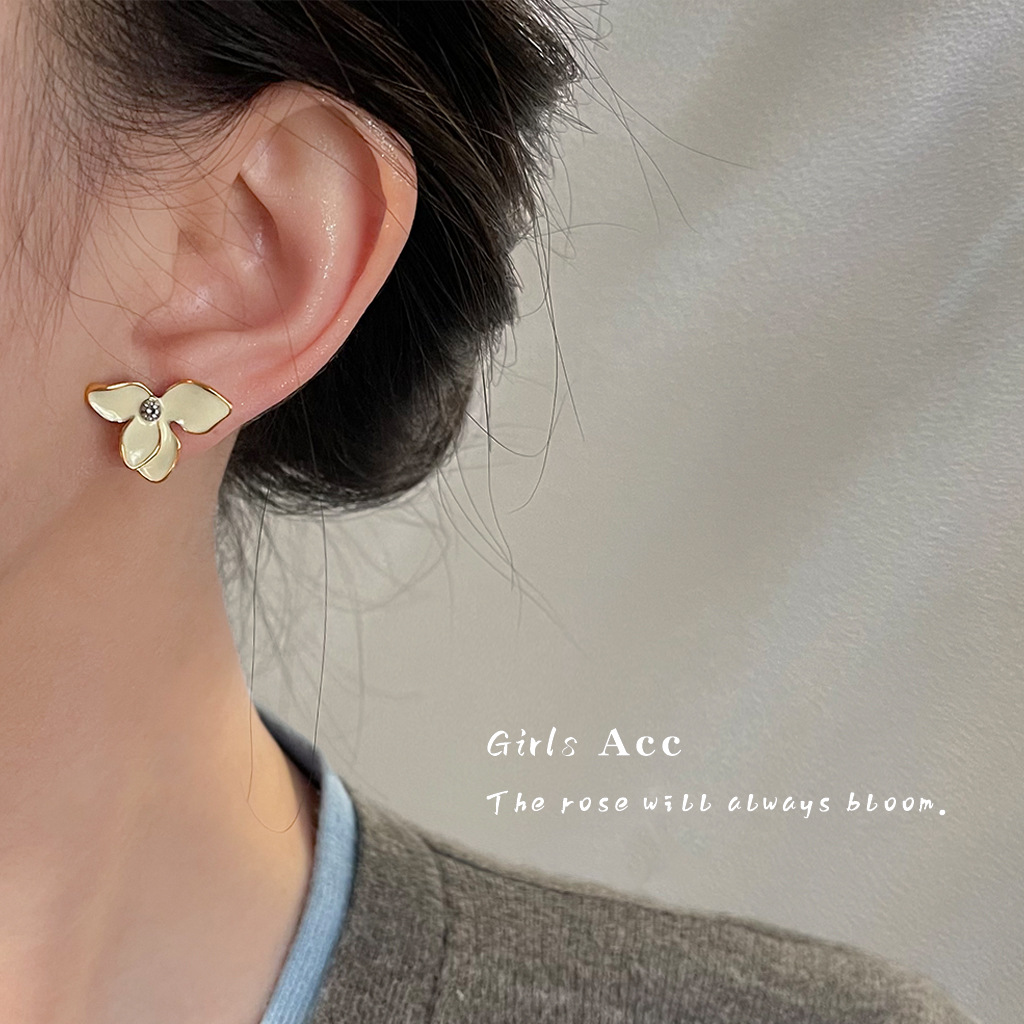 未标题-1_0005_组 1 拷贝 6.jpg