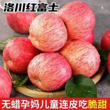 蘋果水果批發精選陝西洛川紅富士脆甜多汁5/10斤裝整箱新鮮禮盒裝