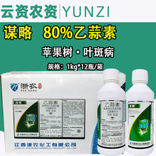 �\��80%�����������O�����~�߲������rș���������l��Ʒ1000��