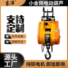小金刚电动葫芦220V小型便携式提升机家用吊运机悬挂卷扬机300kg
