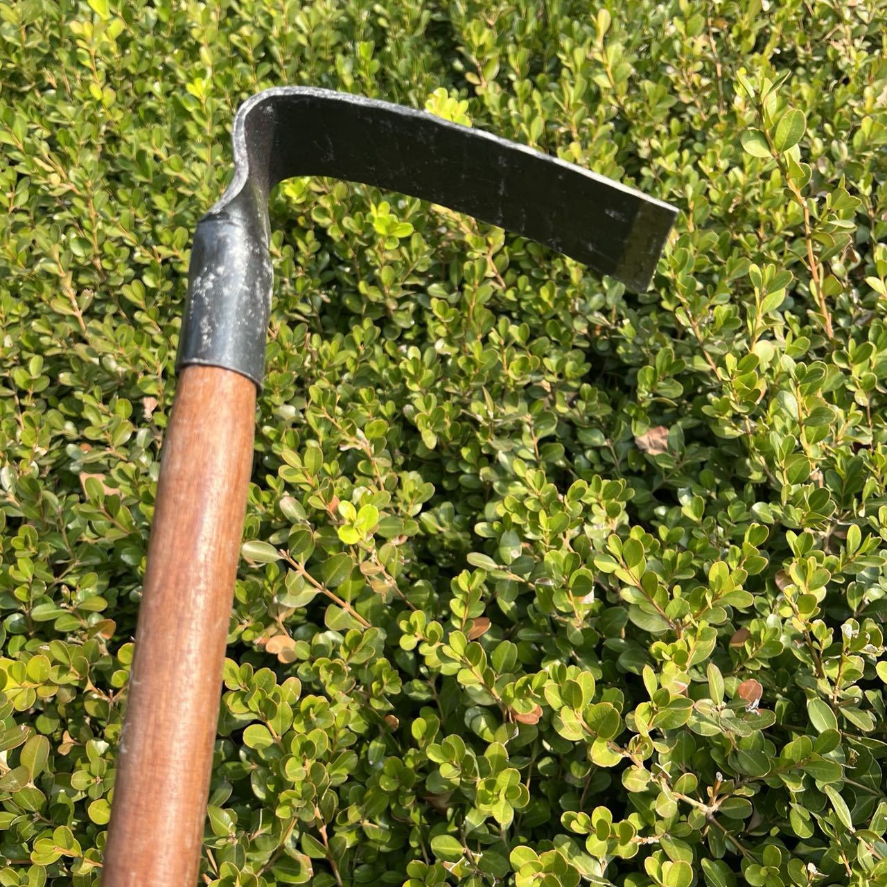 微信图片_20211111205531