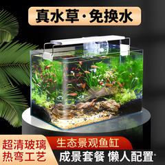 鱼缸客厅2025新款免换水自循环带氧气造景全套热弯玻璃缸生态草缸
