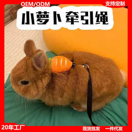小兔子牵引绳防挣脱宠物外出神器溜侏儒幼兔宝宝荷兰猪龙猫链子