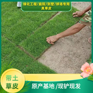 ���ݻ��؎��������ƺ���@���@������̾G����ƺ���Ƥ���l