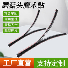 �羳Ģ���^���ħ�g�N���z��ճ����ճ�۲��ֹ�ĸĢ���^���ħ�g�N