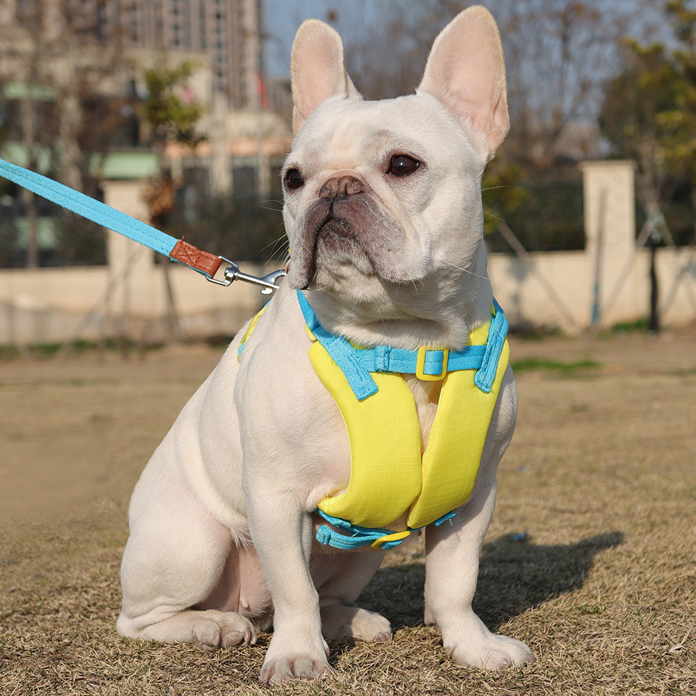 Cute Cartoon Dog Carrier Small Pet Leash for Teddy Corgi Bichon Frise Outdoor Nylon Seat Belt Casual Printing Style Summer Clearance Sale_voghion.com