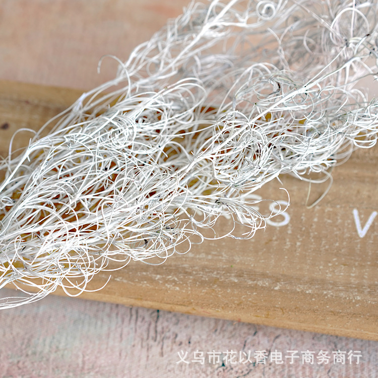 【巻糸草】文芸輸入枝材葉材永生花手作りdiyドライ花材バッグ撮影道具生け花|undefined