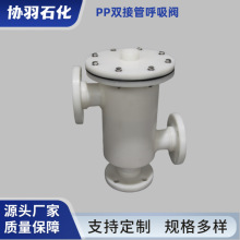 RPP呼吸阀 双接管阻火 PP接口盐酸储罐专用 带呼出接管 丰泉阀门