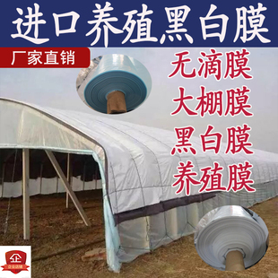 J8 Imported Cooling Rain Edible Fungi Black and White Film Greenhouse Reflective Film Insulation Thickeneded Breeding Green and White Film G3