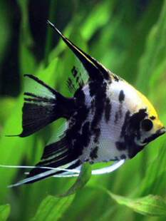 �����~�������~������ɫ�Ꭷ�~���w�^�p�~С���~��ˮ�߲������~��