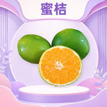 云南玉溪青皮蜜桔 代发3/1/5/8斤早熟蜜橘大果多汁酸甜新鲜水果