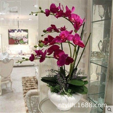 �����m�������Ԏ������������m������͏d�҃�ֲ�ﻨ���ļ����B��