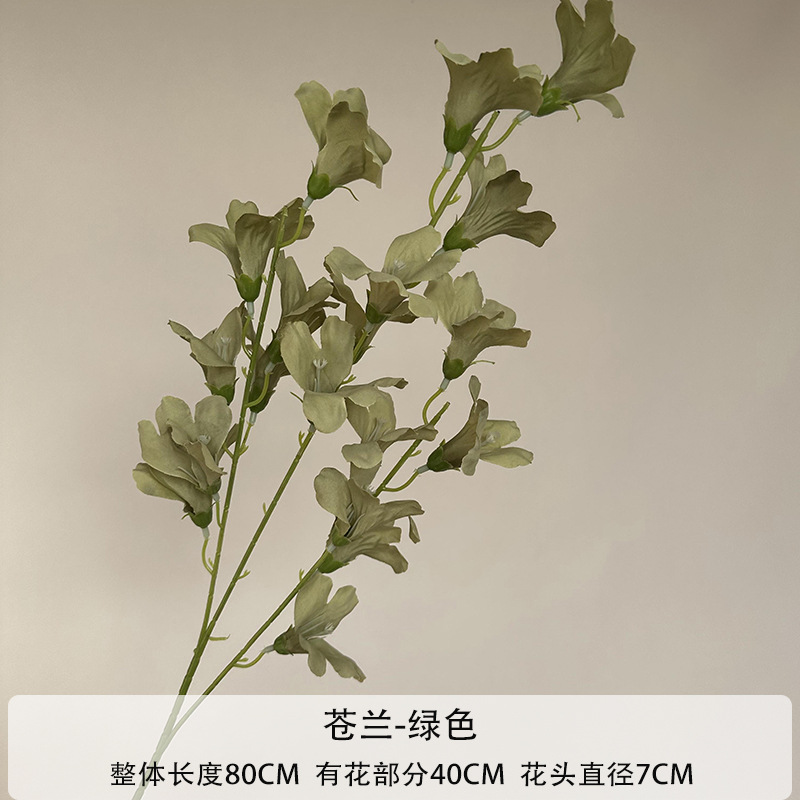 프리지아