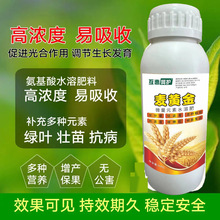 ΢Ԫ ˮܷ _ʩƽߵ⛸߲˹䌣