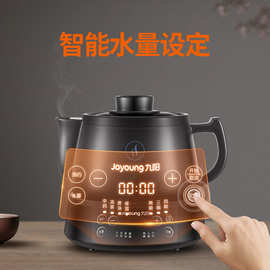九阳电煎壶全自动煎药壶养生壶煲家用药罐电砂锅熬药锅壶