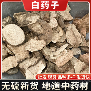 ��ș����ș�����l ɽ���� �ز��� ���X�� �𲻓Q ǧ���� ��ĥ��