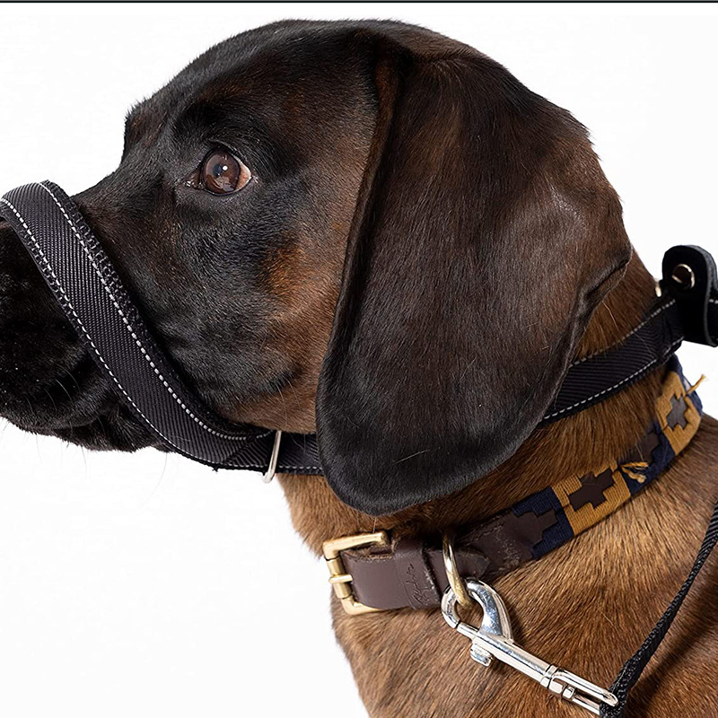 Correa de perro de mascota transfronteriza bozal de perro de imitación integrada cuerda de perro de mordida Golden Retriever Cadena de perro mediana y grande al por mayor