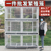 ؈�\��ֳ؈�\����؈�\�Ӷ��ӷ����\�������������B����؈��\��