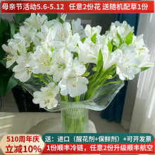 水仙百合鲜花六出花云南斗南花市花卉直发直批花束家用水养插花