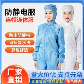防静电鞋;防静电服;其他身体防护