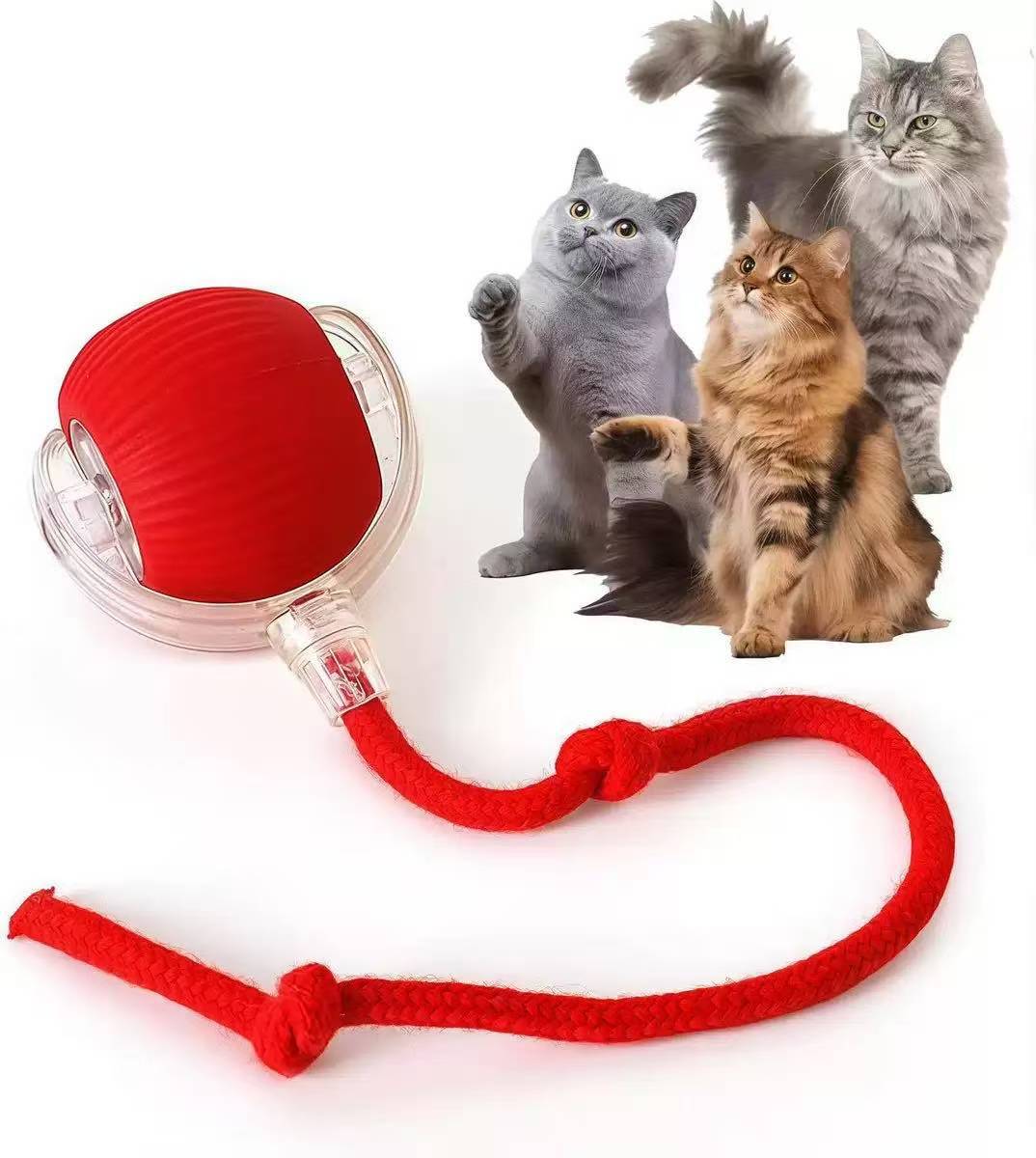 Set de Juguetes Mordedores de Catnip para Gatos de Madera de Matatabi para Limpieza Dental e Interactivo image 95
