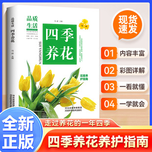 �ļ��B������ ���ܷNֲ���༼�g�� �������Tֲ�ﻨ�݈D��̳̕���