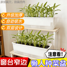 种菜专用箱花盆长方形种菜霍伦盆阳台盆栽家庭蔬菜种植盆种菜神器