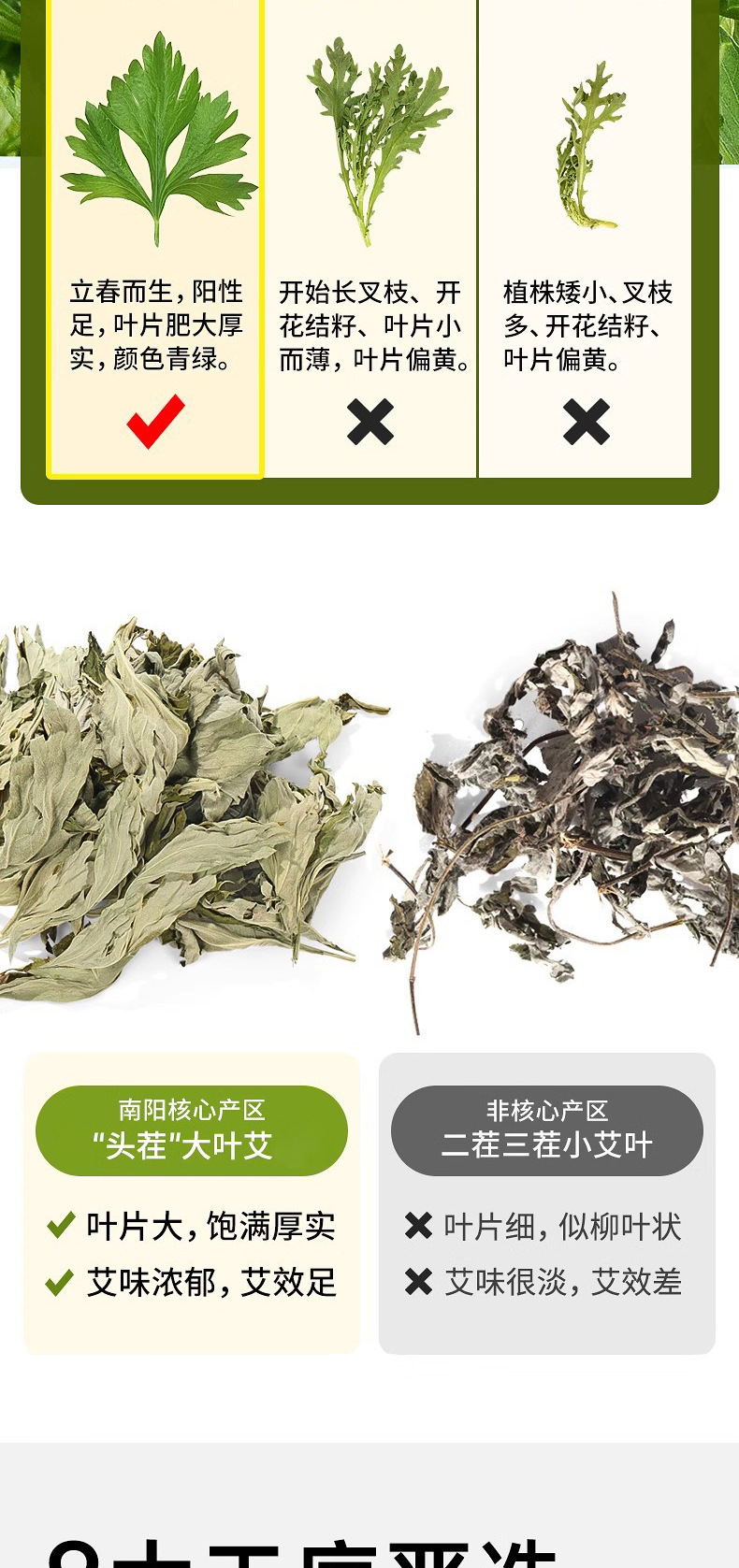 Mugwort Foot Soak Pack Ai Ye 25g x 20 Bags Wild Dried Chinese Herbal Bath and Foot Soak quality and texture