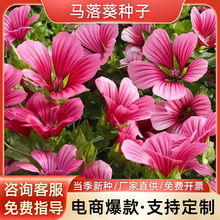 RNļ׷NͥԺ̨׻Ѿ^N߳ѿ