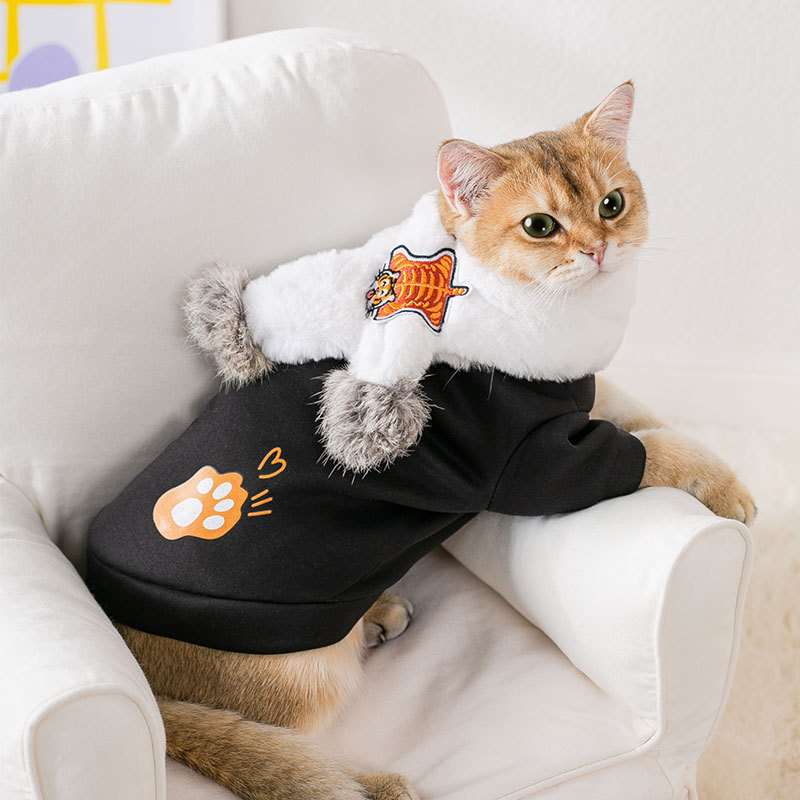 Ropa de gato con set bufandas otoño y invierno camisetas de lana delgada cachorro perro pequeño cachorro ropa de dos patas ropa de mascotas