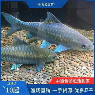�¹ⴽ�{���_�~�絭ˮ�~�^�p�~�����~����ԭ���_�~�Lˮ�~Ⱥ�B���~