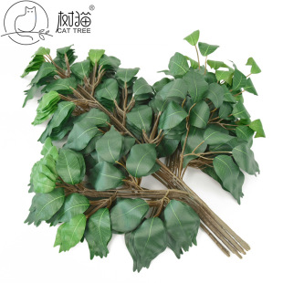 ���Sֱ�������Ř��~�ָ�ֲ���~�����Ϙ�֦�@�־��^�����b٘��~