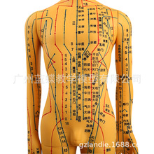 52cm���Ѩλ����ģ��ȫ��������ҽʮ������ͼСƤ��������ϰͭ��