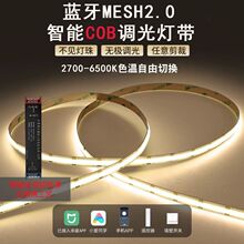 �ѽ���APP����COB���Z���{��MESH2.0�͏d�Շ����ԟ��{��24v���]