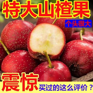 ���rɽ髴���r����Ȼɽ髮����_θˮ�����Ǻ��Jɽ��t����ɽ髹�