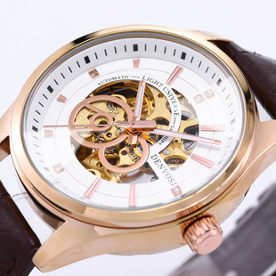 Danvers men's watch automatic mechanical watch mechanical watch men's watch a generation of hollow luminous watch