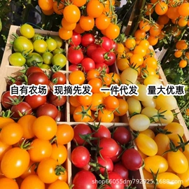 植物性饲料