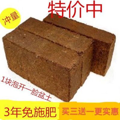 Coconut Brick Organic Gardening Fertilizer Nutrient Coconut soil Coconut husk Botany currency Vegetables Mat material