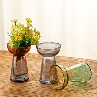 European Glass Vase Transparent Gradient Color Wide Mouth Simple Hydroponic Plant Flower Arrangement Creative Desktop Ornaments Wholesale