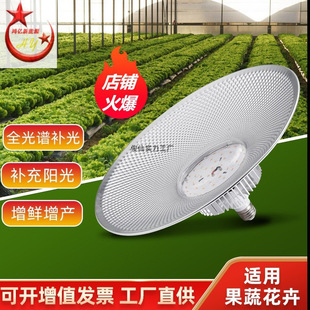 Full Spectrum Led Plant Fill Light Vegetable Strawberry Seedling Indoor Succulent Plant Growth Light Plant Fill Light