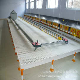 养鹅育雏漏粪板 小鹅漏粪板 养小鹅专用塑料漏粪板万兴畜牧1件批