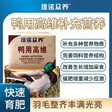 鸭用高维 增加采食提高饲料转化 生长催肥增重肉鸭多维饲料添加剂