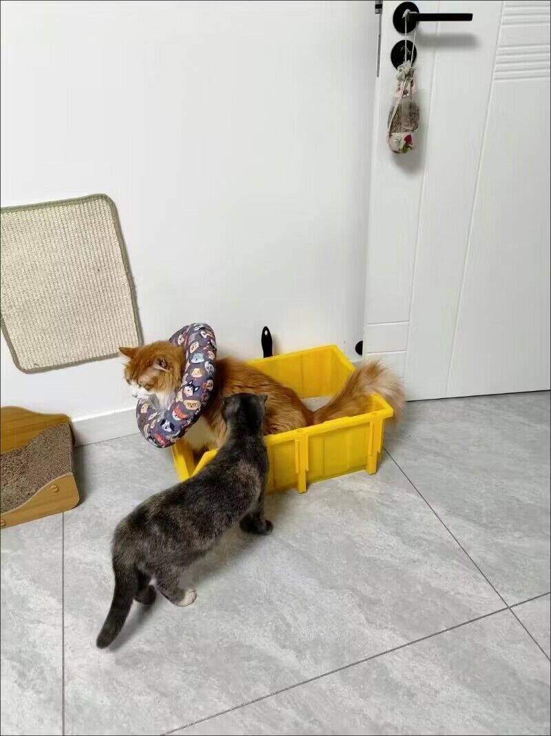 d0c61202-8b62-40d2-bcff-aef8d3e79a3a.jpe